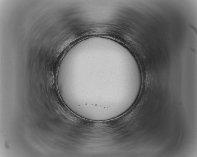 X0000102761449200809020957