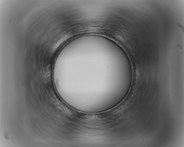 X0000102761450200809020957