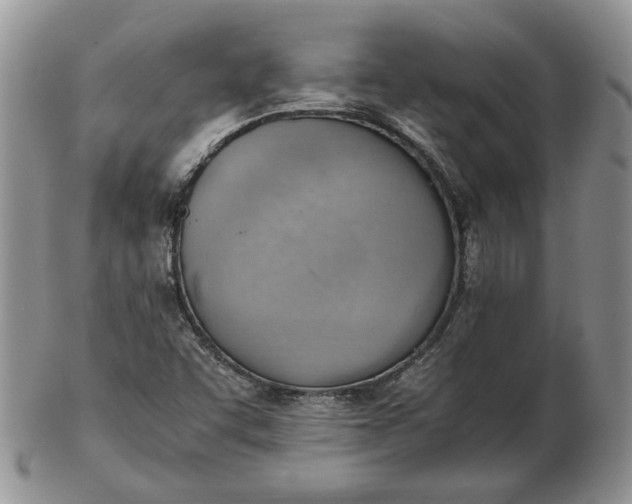 X0000102761455200809020957