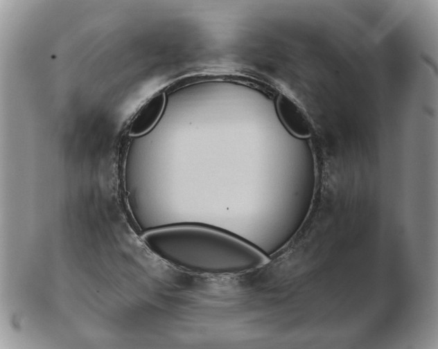 X0000102761456200809020957