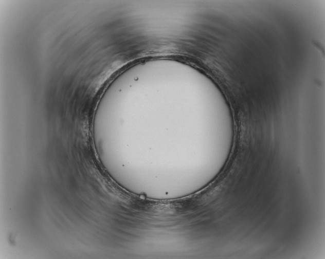 X0000102761457200809020957