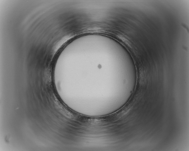 X0000102761458200809020957