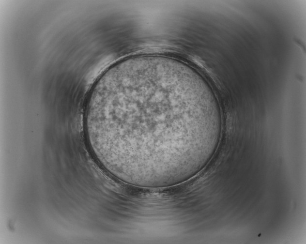 X0000102761459200809020957