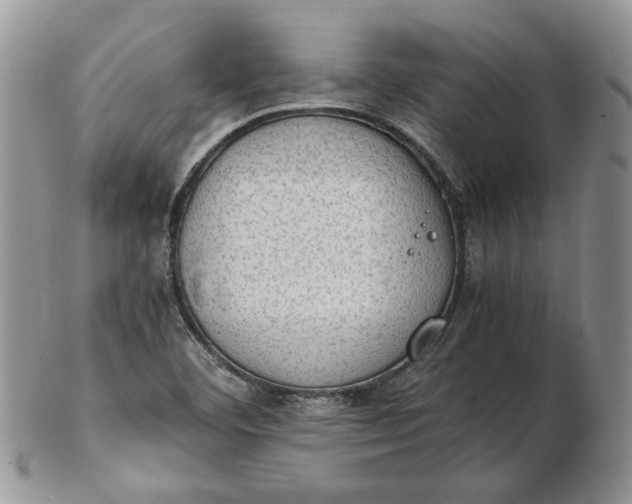 X0000102761460200809020957