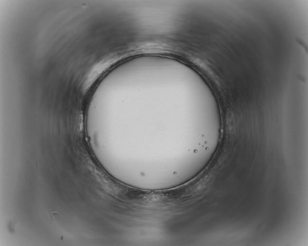 X0000102761461200809020957