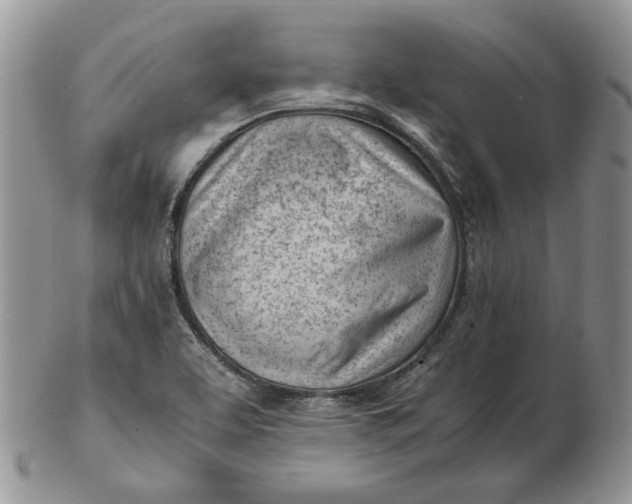 X0000102761463200809020957