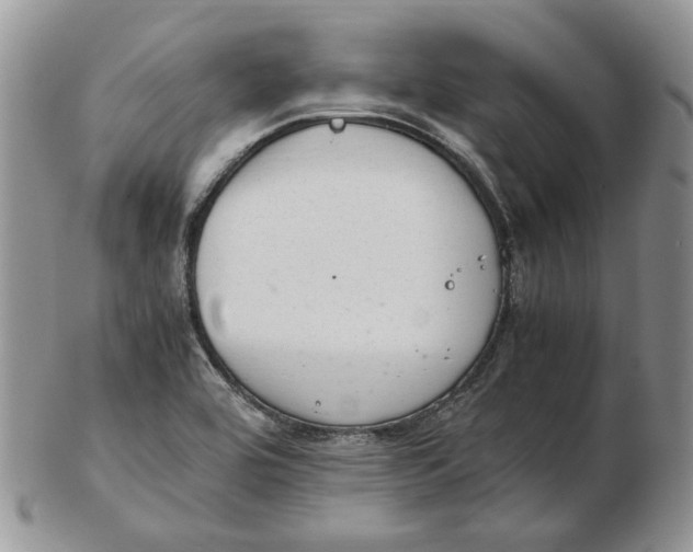 X0000102761464200809020957