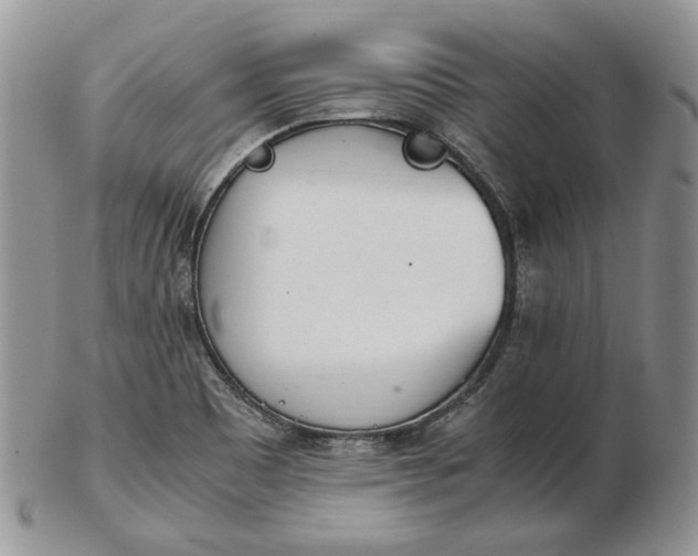 X0000102761465200809020957