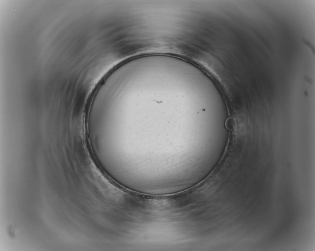 X0000102761468200809020957