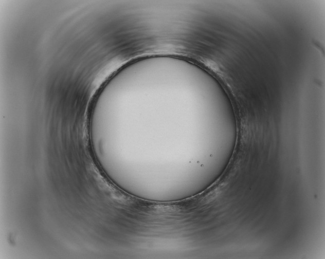 X0000102761469200809020957