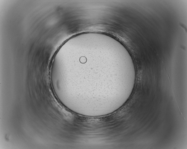 X0000102761470200809020957