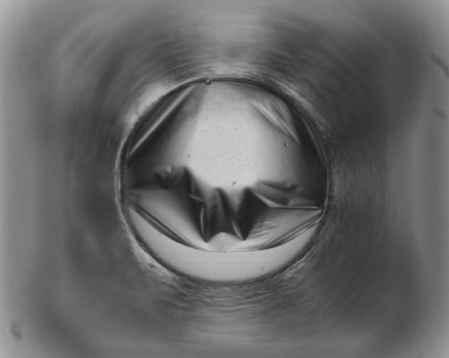 X0000102761471200809020957