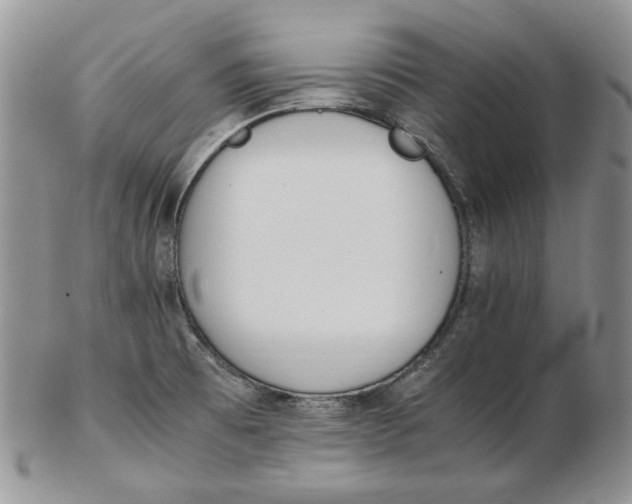 X0000102761473200809020956