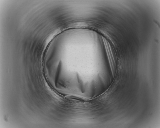 X0000102761475200809020956