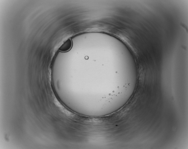 X0000102761476200809020956