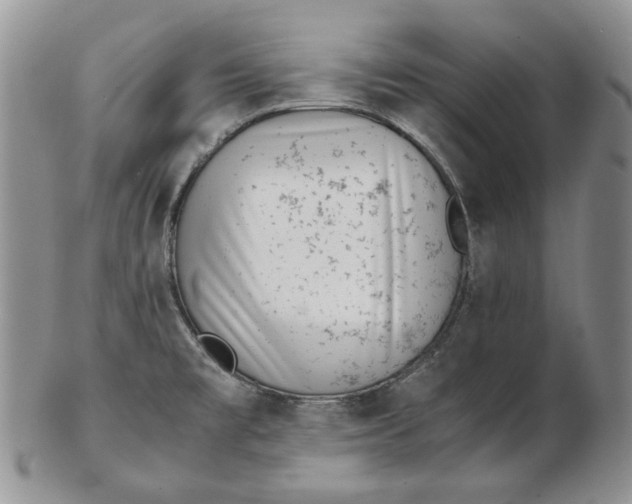 X0000102761477200809020956