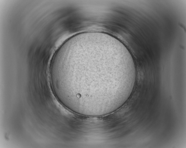 X0000102761478200809020956