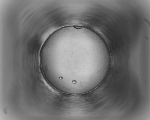 X0000102761479200809020956