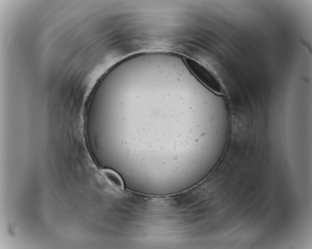 X0000102761480200809020956