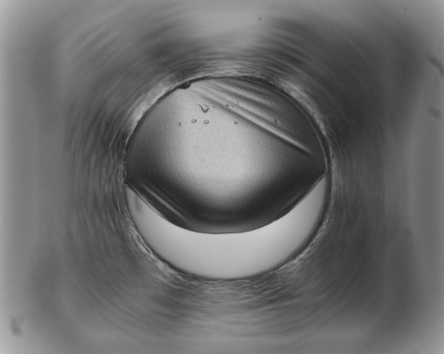 X0000102761481200809020956