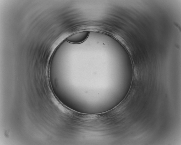 X0000102761482200809020956