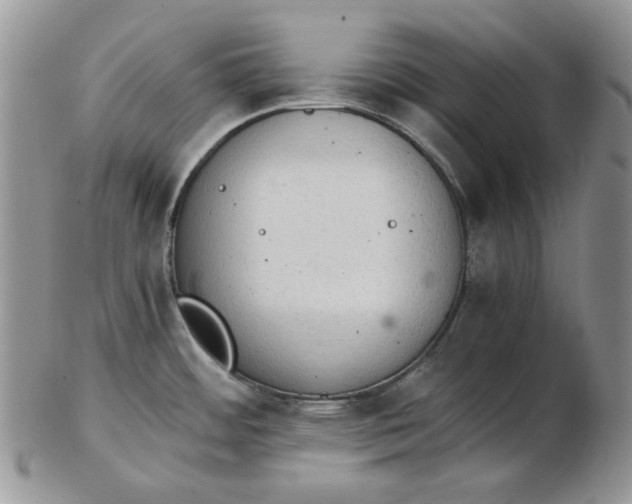 X0000102761484200809020956