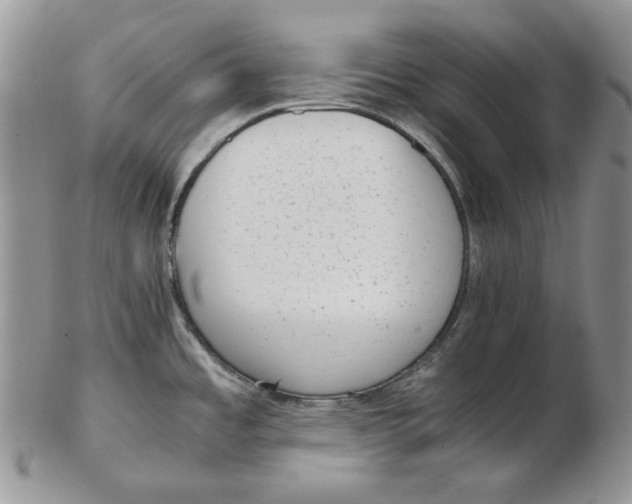 X0000102761485200809020956