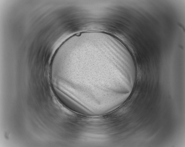 X0000102761486200809020956