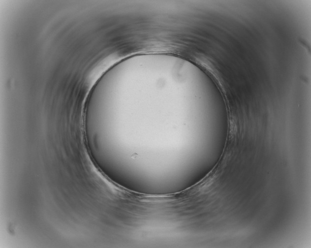 X0000102761487200809020956