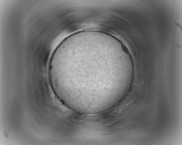 X0000102761488200809020956