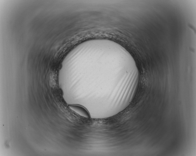 X0000102761490200809020956