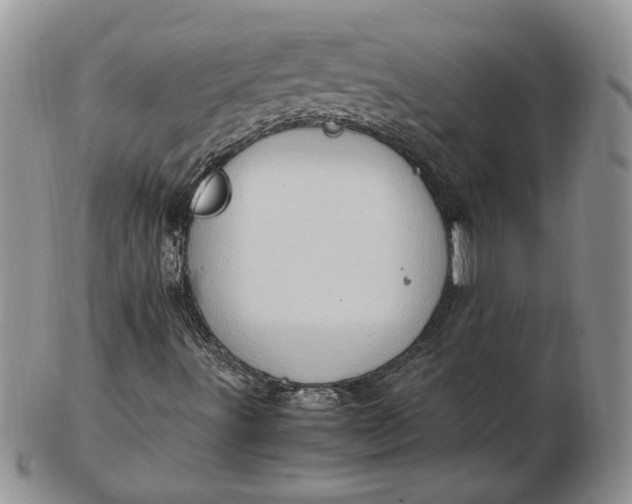 X0000102761491200809020956