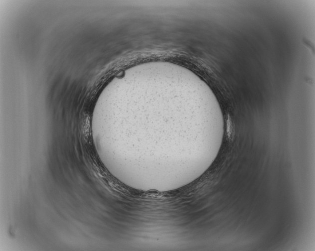 X0000102761492200809020956