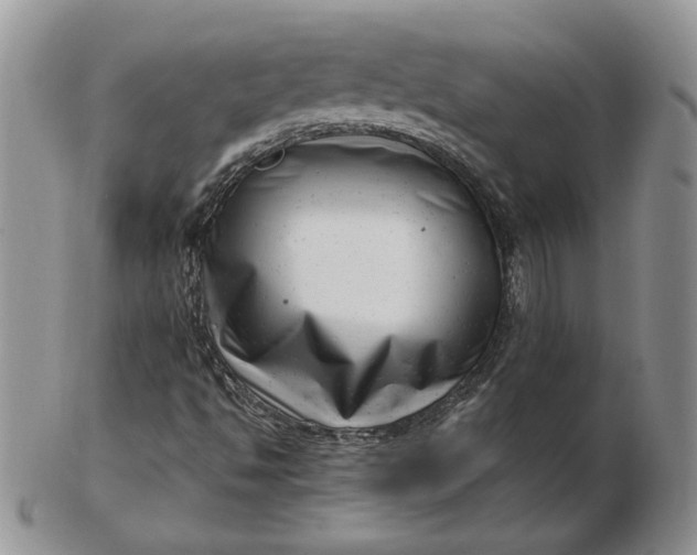 X0000102761494200809020956