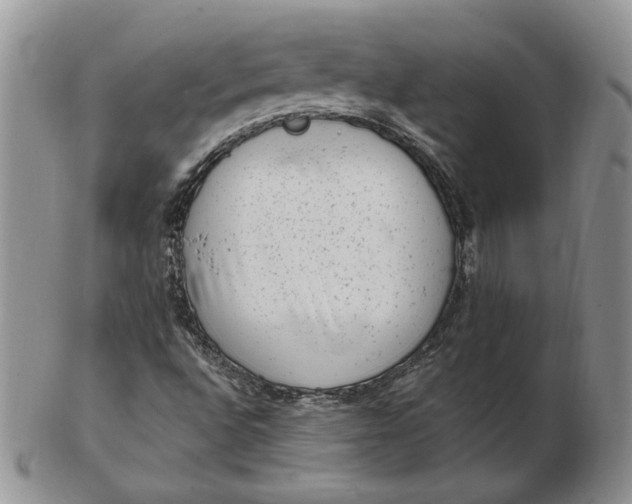 X0000102761496200809020956