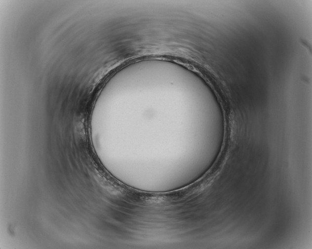 X0000102761497200809020956