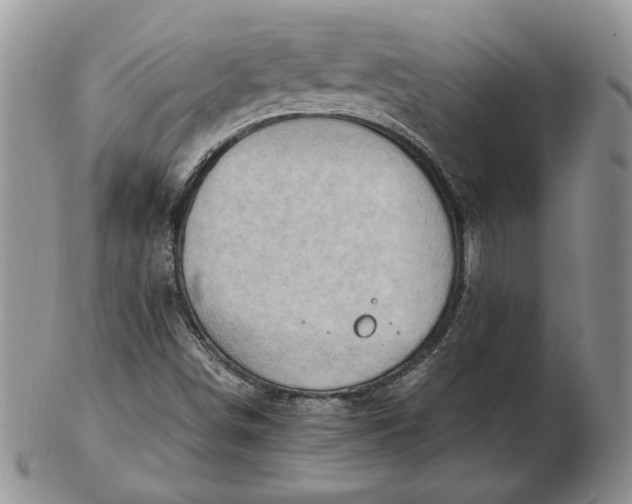 X0000102761498200809020956