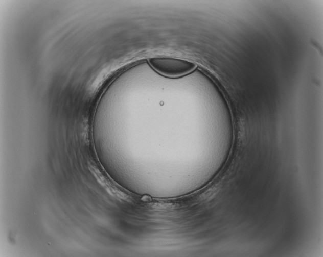 X0000102761499200809020956