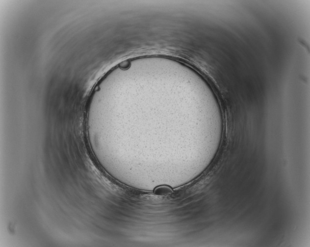 X0000102761500200809020956