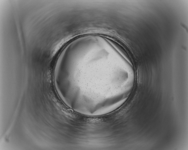 X0000102761501200809020956