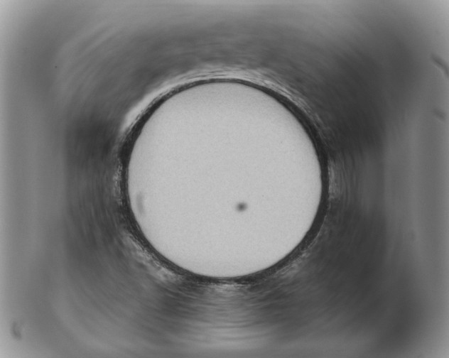 X0000102761502200809020956