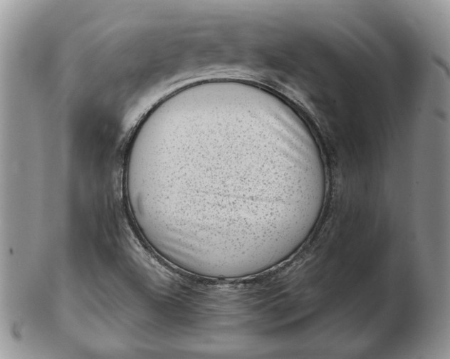 X0000102761504200809020956