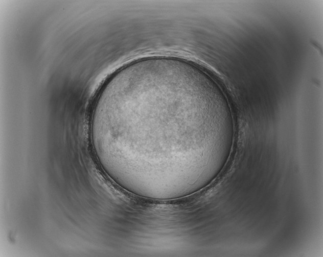 X0000102761506200809020956