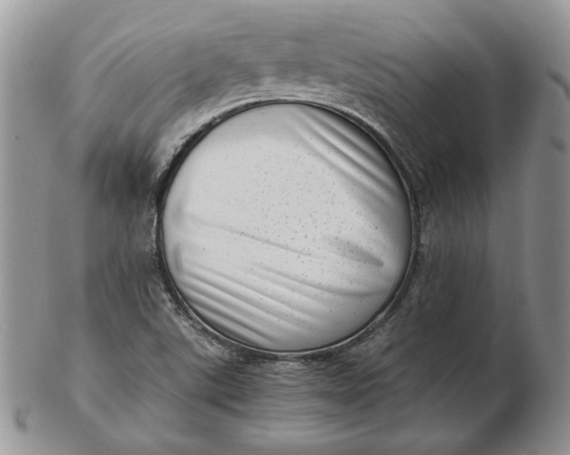 X0000102761507200809020956