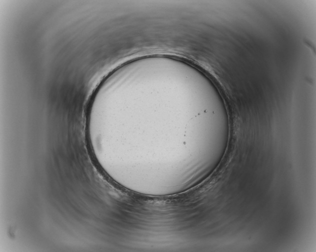 X0000102761508200809020956