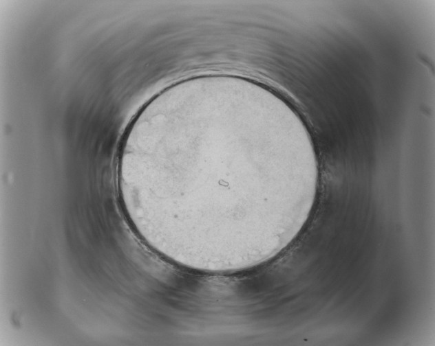 X0000102761514200809020956