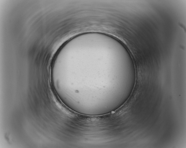 X0000102761515200809020956