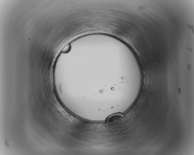 X0000102761516200809020956