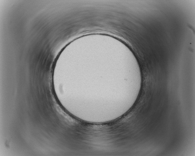 X0000102761518200809020956