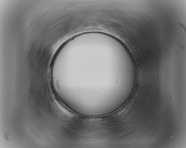 X0000102761519200809020956